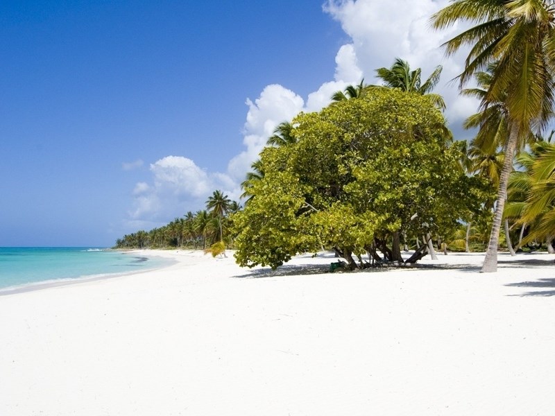 Szlakiem dominikańskich plaż i palm kokosowych