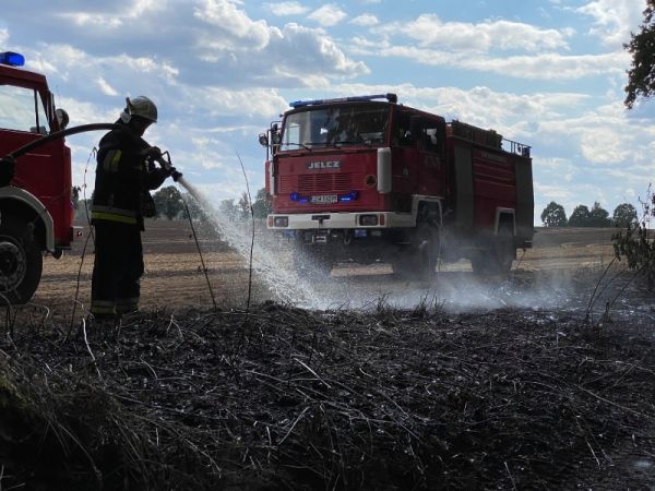 Ponad 20 hektarów w ogniu! Duży pożar zboża w Zamartem w gminie Kamień Krajeński [FOTO/WIDEO]