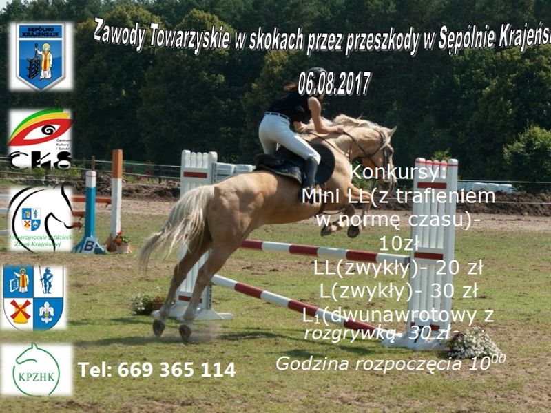 Zawody jeździeckie w Sępólnie
