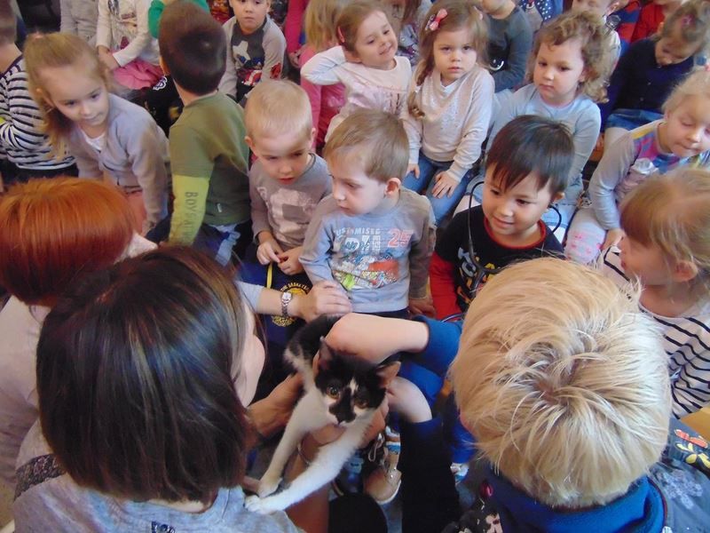 Międzynarodowy dzień kota w więcborskiej bibliotece (FOTO)