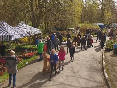 III Powiatowe Targi Ogrodniczo-Rolnicze w Sypniewie (WIDEO)