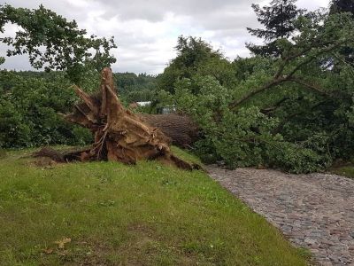 Rok po nawałnicy (WIDEO)