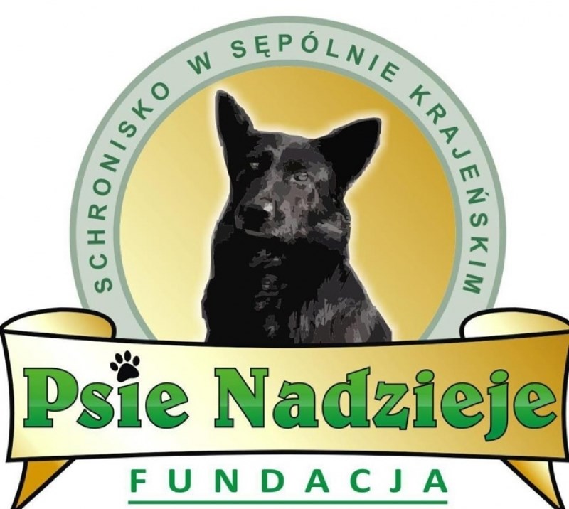 Oświadczenie Prezesa Fundacji "Psie Nadzieje"