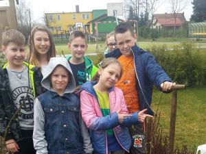 SP Wiśniewa