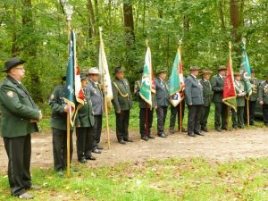 Gmina Więcbork