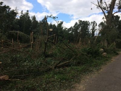 Darowizna dla poszkodowanych z terenu Gminy Więcbork