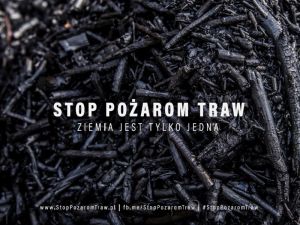 www.stoppozaromtraw.pl