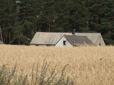 Kolejne zatrzymanie i areszt w sprawie dzieciobójstwa w Witkowie (WIDEO)