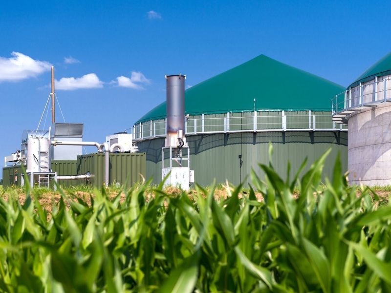 Green Energy Sp. z o.o. rezygnuje z budowy biogazowni w Runowie Krajeńskim